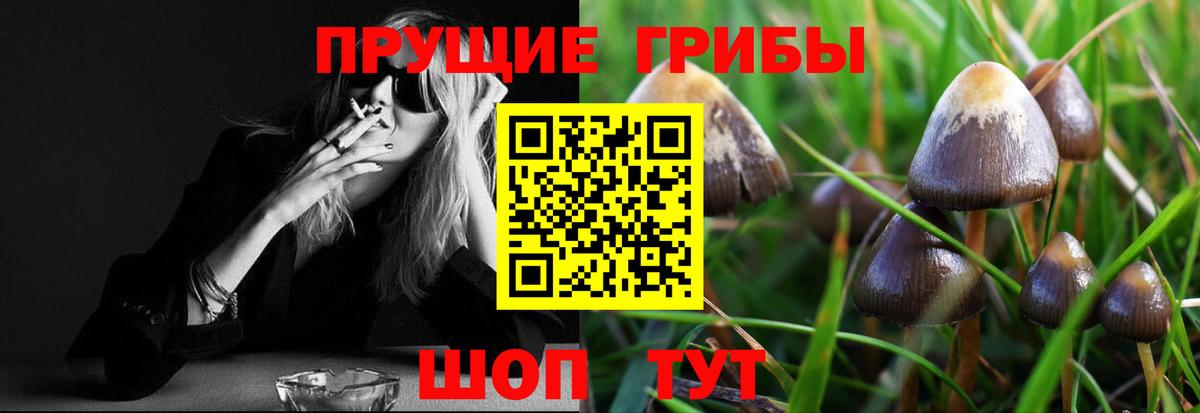 Псилоцибиновые грибы MAGIC MUSHROOMS  Вход с VPN  Галлюциногенные грибы Magic Shrooms  Нижний Новгород 
